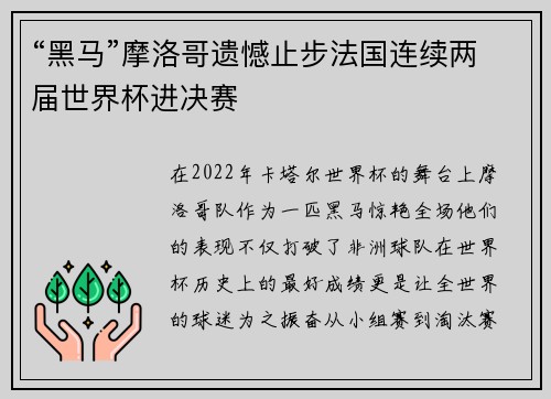 “黑马”摩洛哥遗憾止步法国连续两届世界杯进决赛